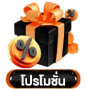 เมนูโปรโมชั่น
